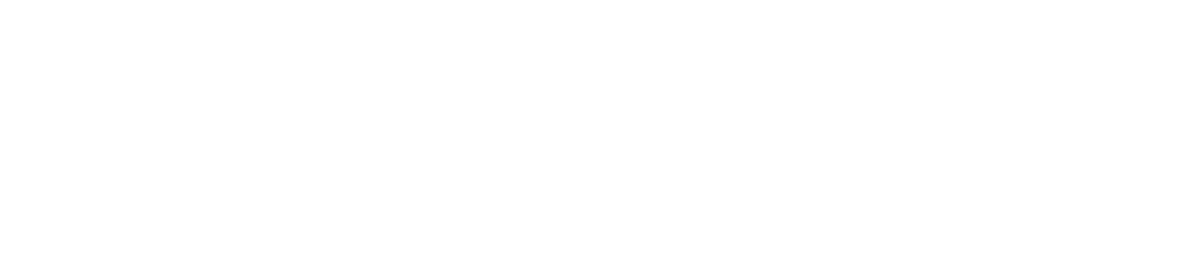 AINS 2024 | Second Edition logo